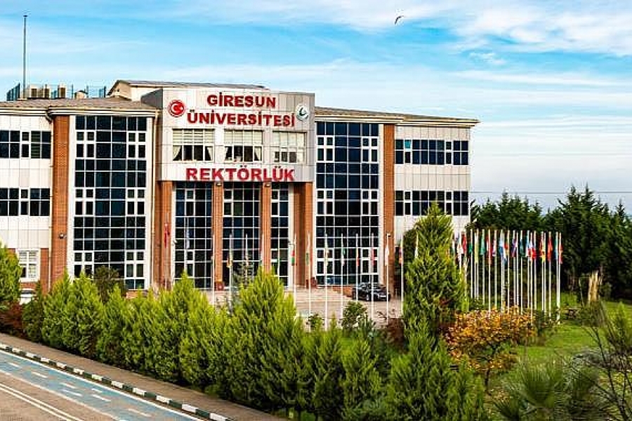 Giresun Üniversitesi Müzik Ekipmanları ve Ses Görüntüleme Cihazları Donanım Projesi